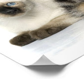 Niedliche Tiere Poster (Ecke)