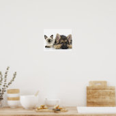 Niedliche Tiere Poster (Küche)