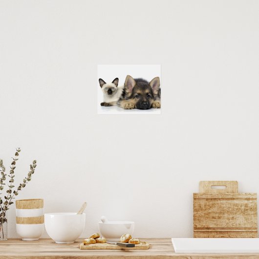 Niedliche Tiere Poster (Küche)