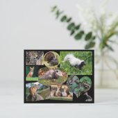 Niedliche Tiere Postkarte (Stehend Vorderseite)