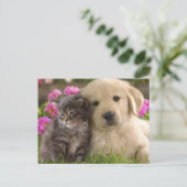 Niedliche Tiere Postkarte (Stehend Vorderseite)