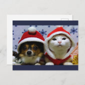 Niedliche Tiere Postkarte (Vorne/Hinten)