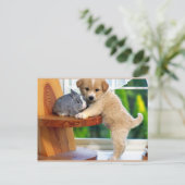 Niedliche Tiere Postkarte (Stehend Vorderseite)