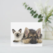 Niedliche Tiere Postkarte (Stehend Vorderseite)