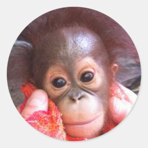 Niedliche Tiere Runder Aufkleber