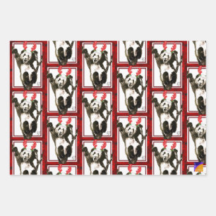 Niedliche Tiere Weihnachtsgeschenk Wrap Set Panda, Geschenkpapier Set