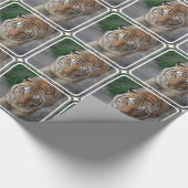 Niedliche Tiger Geschenkpapier (Ecke)