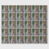Niedliche Tiger Geschenkpapier (Flach)
