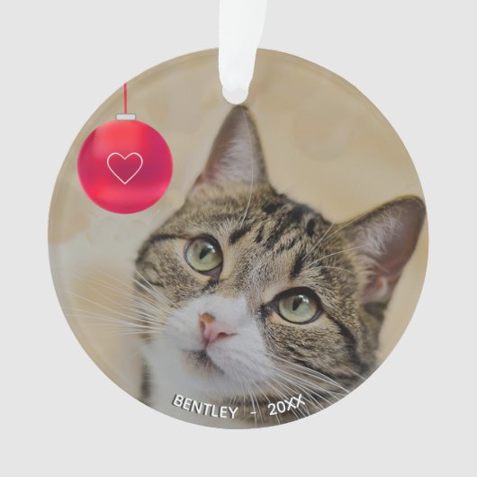 Niedliche Tischkatze mit Weihnachtsball-Foto Ornament (Vorderseite)