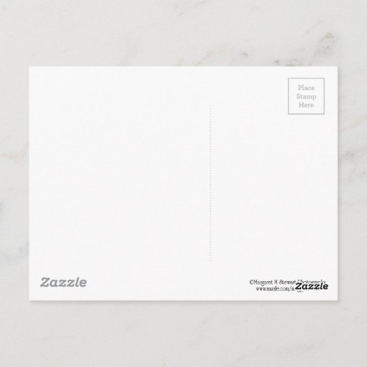 Niedliche Titmaus Postkarte (Rückseite)