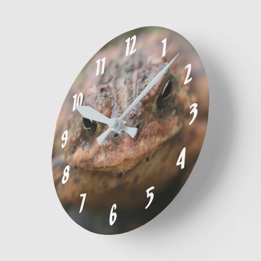 Niedliche Toad Face Nature Runde Wanduhr (Winkel)