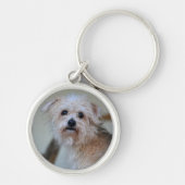 Niedliche traurige Augen Scruffy Welpe Schlüsselanhänger (Vorne)