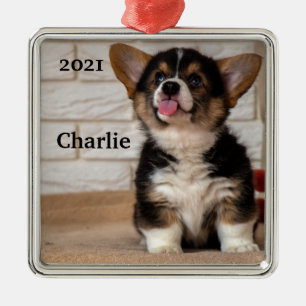 Niedliche Tri color Pembroke Welsh Corgi Welppy Do Ornament Aus Metall