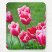 Niedliche Tulips im Garten Mousepad (Vorne)