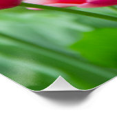 Niedliche Tulips im Garten Poster (Ecke)
