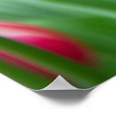 Niedliche Tulips im Garten Poster (Ecke)