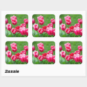 Niedliche Tulips im Garten Quadratischer Aufkleber (Blatt)