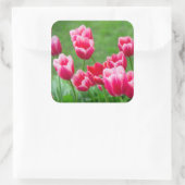 Niedliche Tulips im Garten Quadratischer Aufkleber (Tasche)