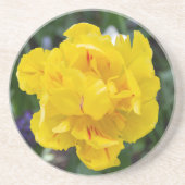 Niedliche Tulpen im Garten Getränkeuntersetzer (Vorne)