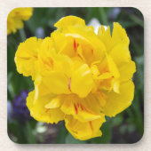 Niedliche Tulpen im Garten Getränkeuntersetzer (Vorderseite)