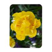 Niedliche Tulpen im Garten Magnet (Vertikal)