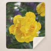 Niedliche Tulpen im Garten Sherpadecke (Vorderseite)