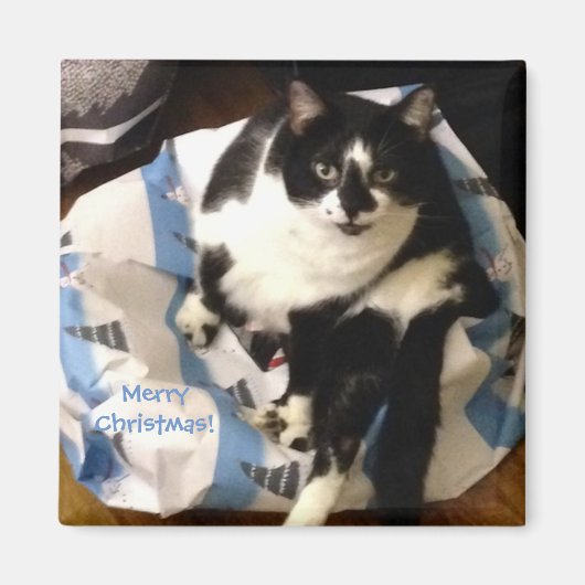Niedliche Tuxedo-Katze, auf heutigen Weihnachtsmag Magnet (Vorne)
