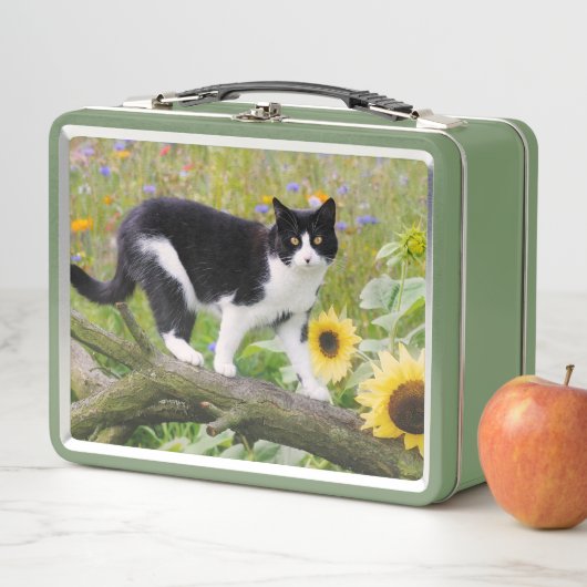 Niedliche Tuxedokatze auf einem Baumzweig mit Sonn Metall Brotdose (Beispiel)