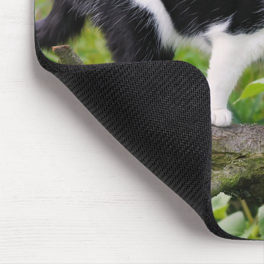 Niedliche Tuxedokatze auf einem Baumzweig mit Sonn Mousepad (Ecke)
