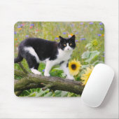Niedliche Tuxedokatze auf einem Baumzweig mit Sonn Mousepad (Mit Mouse)