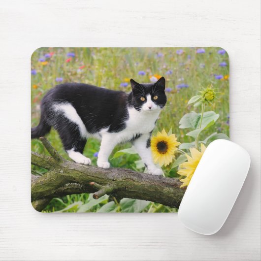 Niedliche Tuxedokatze auf einem Baumzweig mit Sonn Mousepad (Mit Mouse)