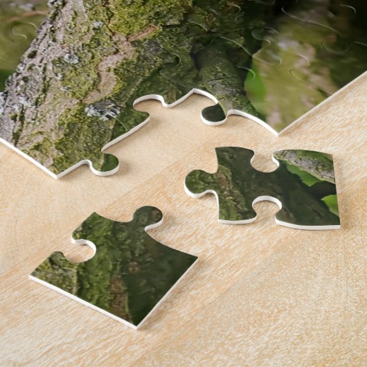 Niedliche Tuxedokatze auf einem Baumzweig mit Sonn Puzzle (Seite)