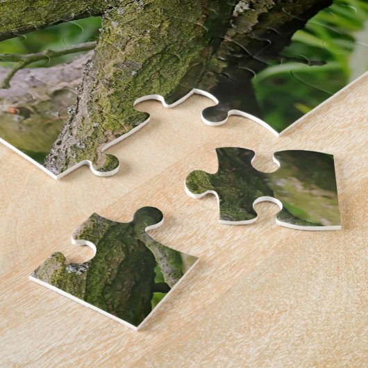 Niedliche Tuxedokatze auf einem Baumzweig mit Sonn Puzzle (Seite)