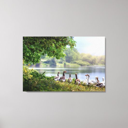 Niedliche Uhr des Gänsewaldes Leinwanddruck (Vorderseite)