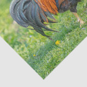 Niedliche und farbenfrohe Bauernhofskatze Seidenpapier (Ausschnitt)