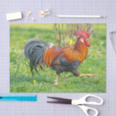 Niedliche und farbenfrohe Bauernhofskatze Seidenpapier (Handwerk)