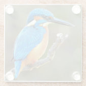 Niedliche und farbenfrohe Kingfisher oder Alcedini Glasuntersetzer (Rückseite)