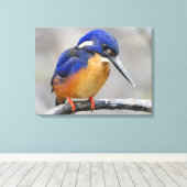 Niedliche und farbenfrohe Kingfisher oder Alcedini Leinwanddruck (Insitu (Holzboden))