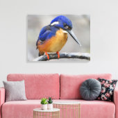 Niedliche und farbenfrohe Kingfisher oder Alcedini Leinwanddruck (Insitu (Wohnzimmer))