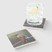 Niedliche und farbenfrohe Kingfisher oder Alcedini Steinuntersetzer (Seitenansicht)