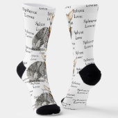 Niedliche und farbenfrohe Sphynx-Lover-Socken Socken (Gewinkelt)