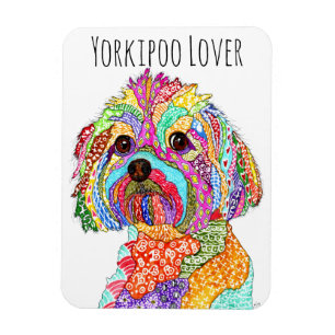 Niedliche und farbenfrohe Yorkipoo Dog Magnet 3"x4