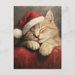 Niedliche und gemütliche Weihnachtskatze in Weihna Postkarte