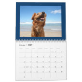 Niedliche und glückliche Hunde Kalender 2024 (Jan 2027)