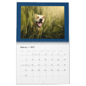 Niedliche und glückliche Hunde Kalender 2024 (Feb 2027)