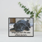 Niedliche und lila Black Mops-Chipkarte Postkarte (Stehend Vorderseite)