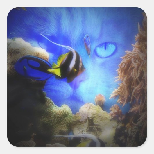 Niedliche und lustige Aufkleber für Katzen und Fis (Vorderseite)