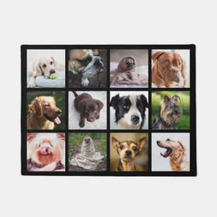Niedliche und lustige Hunde Foto Collage Türmatte
