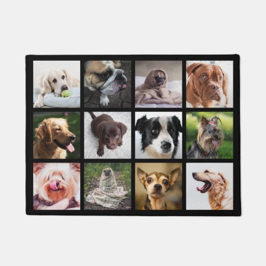 Niedliche und lustige Hunde Foto Collage Türmatte (Vorderseite)