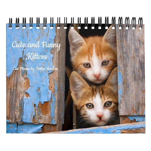Niedliche und lustige Kittens Cat Foto — Kalender (Titelbild)
